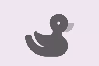 Guide: duck