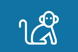 Guide: Monkey