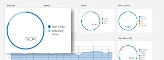 User, New User, Sessions, Pageviews in selected time period | Graph