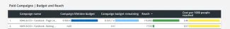 Facebook Insights | Paid Campaigns | Budget and Reach