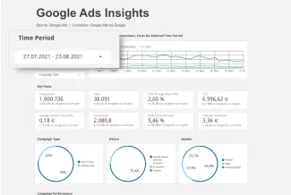 Google Ads Insights